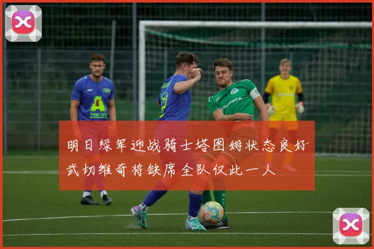 明日绿军迎战骑士塔图姆状态良好武切维奇将缺席全队仅此一人