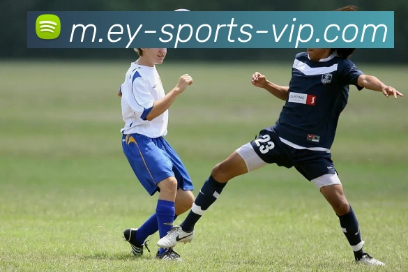 易游体育品牌故事