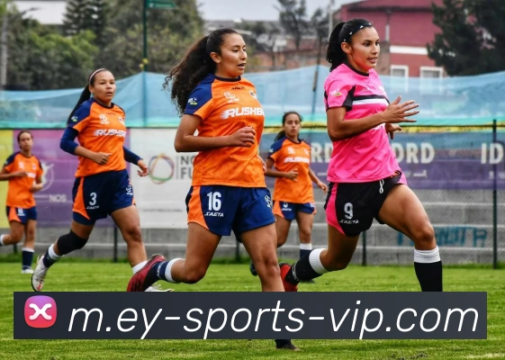 易游体育服务体系