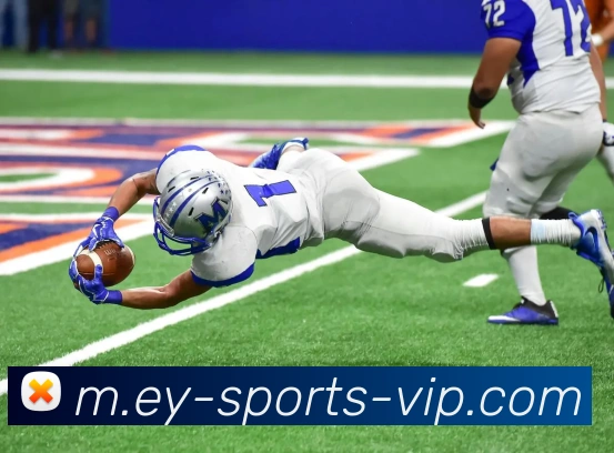 多媒体互动体验